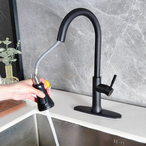 Pull Down Kitchen Faucet