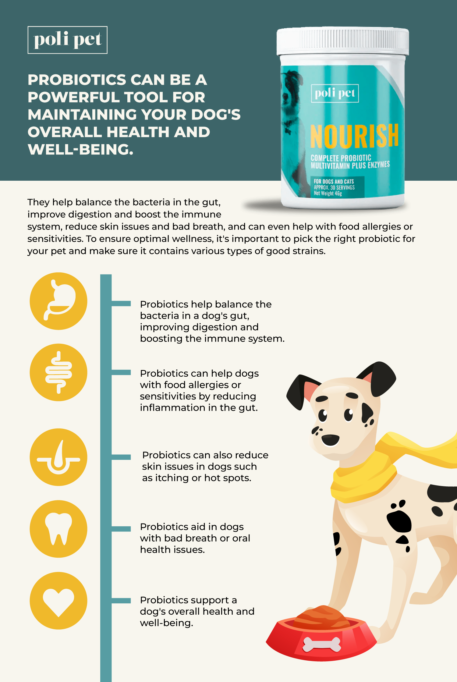 How probiotics are a powerful tool for maintaining dog's overall health