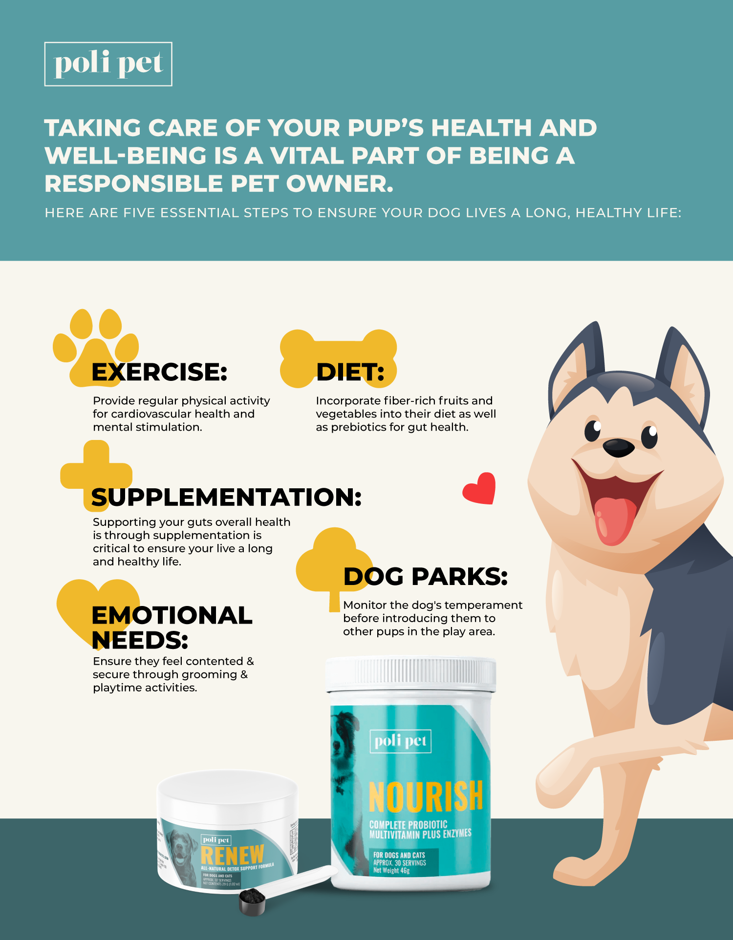 5 tips for a healthy dog