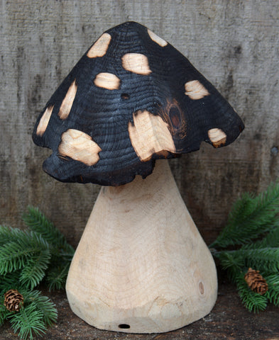 Mushroom Sculpture, California Cedar wood carving. Chainsaw Carver Jess Alice, one of a kind, handmade mushroom art for your home, business. Great table top accent piece, nature inspired whimsical carving