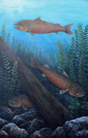 3 Brown Trout Acrylic on Canvas Painting by Artist Jess Alice. 3 brown trout swimming underwater by a log and plants