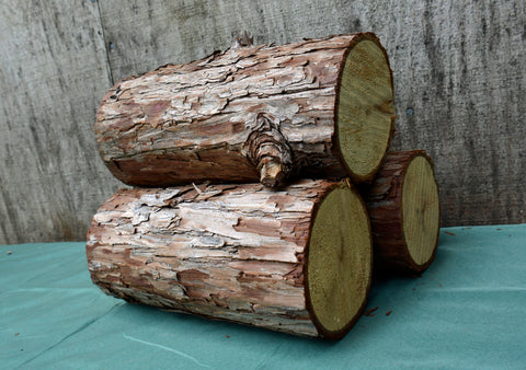 group of raw all natural California Cedar small logs for your home decor or project. Live material for seasonal decorations, campfire display, near fireplace, bonfire, camping, enjoy the natural aroma of cedar and the rustic organic tree rounds