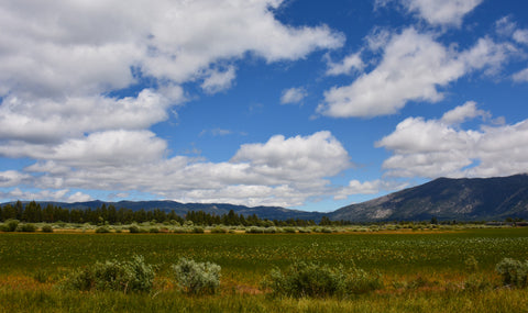 Landscape Photography by Artist Jess Alice. his enchanting alpine meadow, nestled in the heart of the Sierra Nevada, beckons with its serene beauty, inviting you to explore nature's wonders. Ideal for nature lovers, this photograph captures the magic of the Sierra Nevada's high meadows. Purchase now to bring the tranquility and majesty of the High Sierra into your home