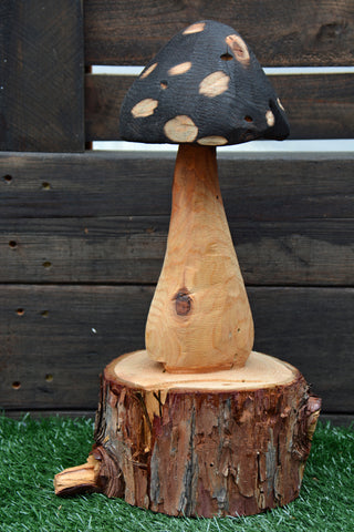 Mushroom Sculpture, California Cedar wood carving. Chainsaw Carver Jess Alice, one of a kind, handmade mushroom art for your home, business. Great table top accent piece, nature inspired whimsical carving