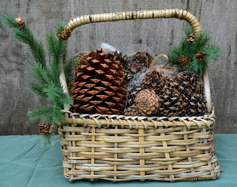 Pinecones, California assortment of different pinecones for your home and garden. Used for seasonal decorations, craft projects, handpicked already processed for your imagination to create