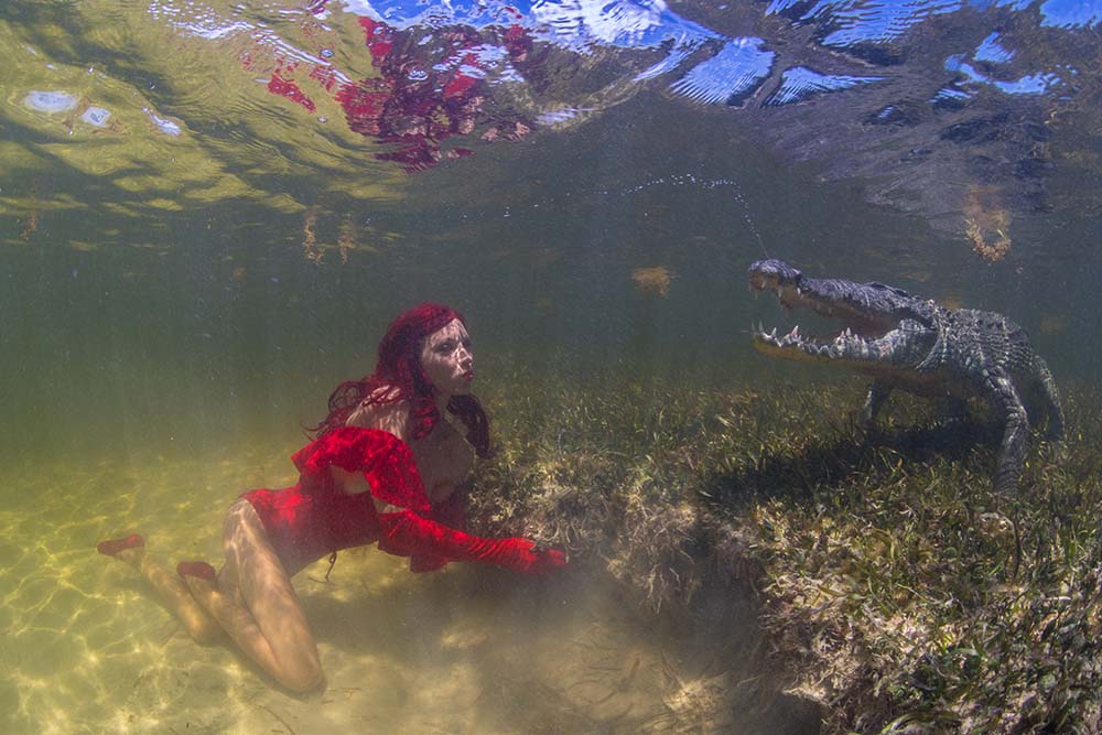 Unterwassershooting mit dem Krokodil