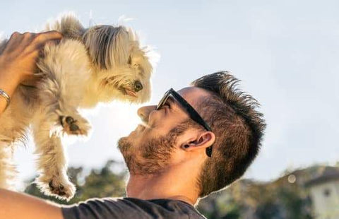 Happy Man holding up small well behaved dog