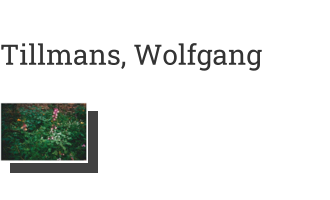 Postkarte von Tillmans, Wolfgang: Garten, 2008