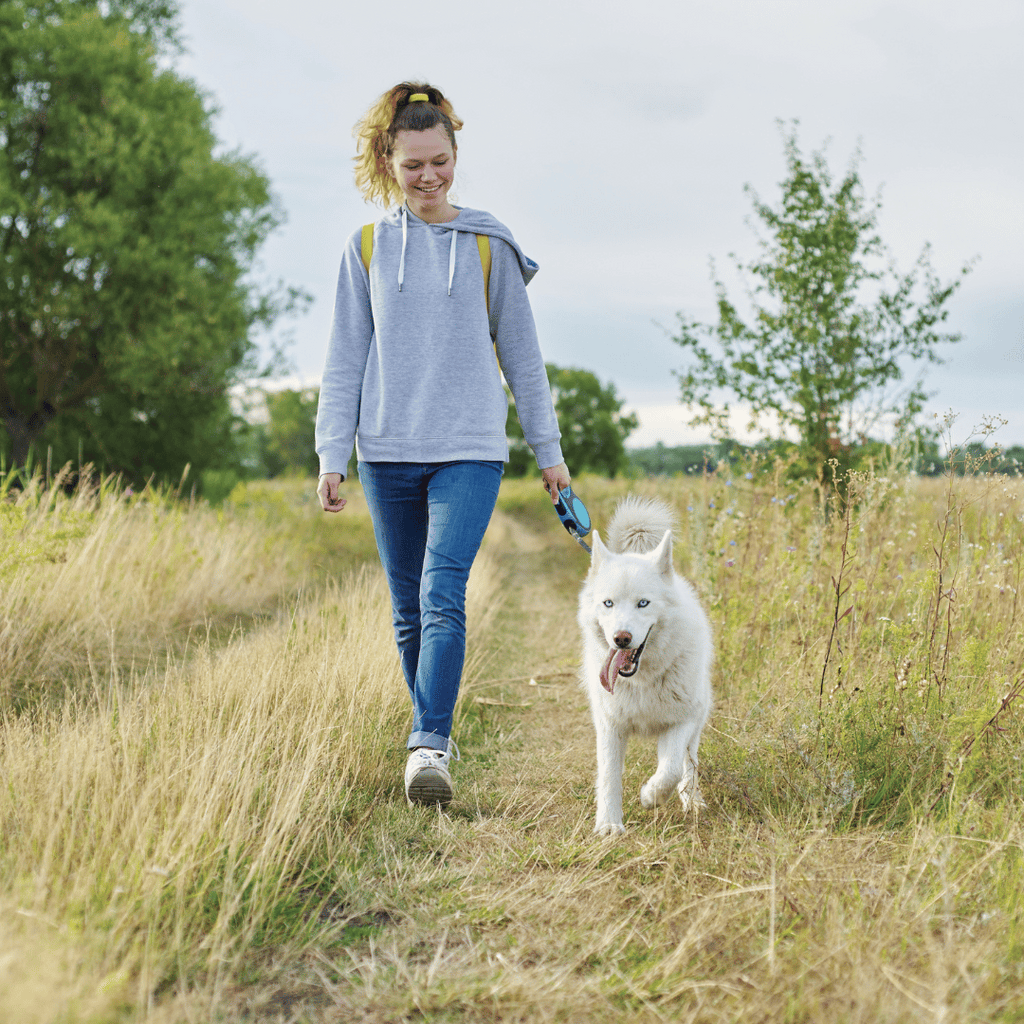 blessure-coussinet-chien