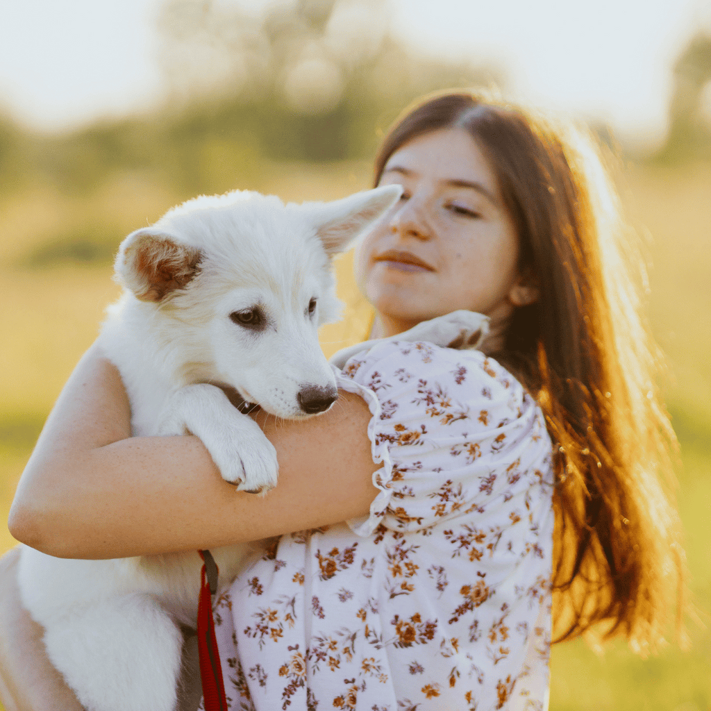 berger-blanc-suisse-sensible-alimentation