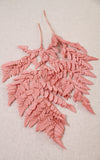 Lederfarn rosa-koralle 2er-Set | Trockenblumen | ca. 25 cm