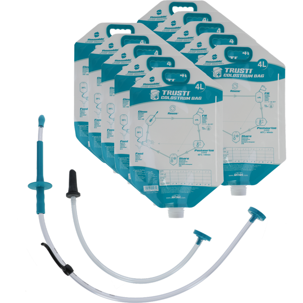 Antahi Colostrum Bag Set 10x met sonde en speen afbeelding