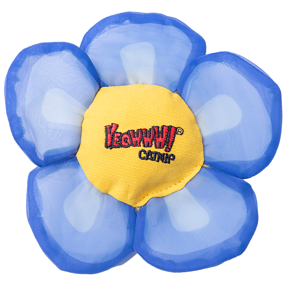 Yeowww! Yeowww Daisey's Flower Top Blue
