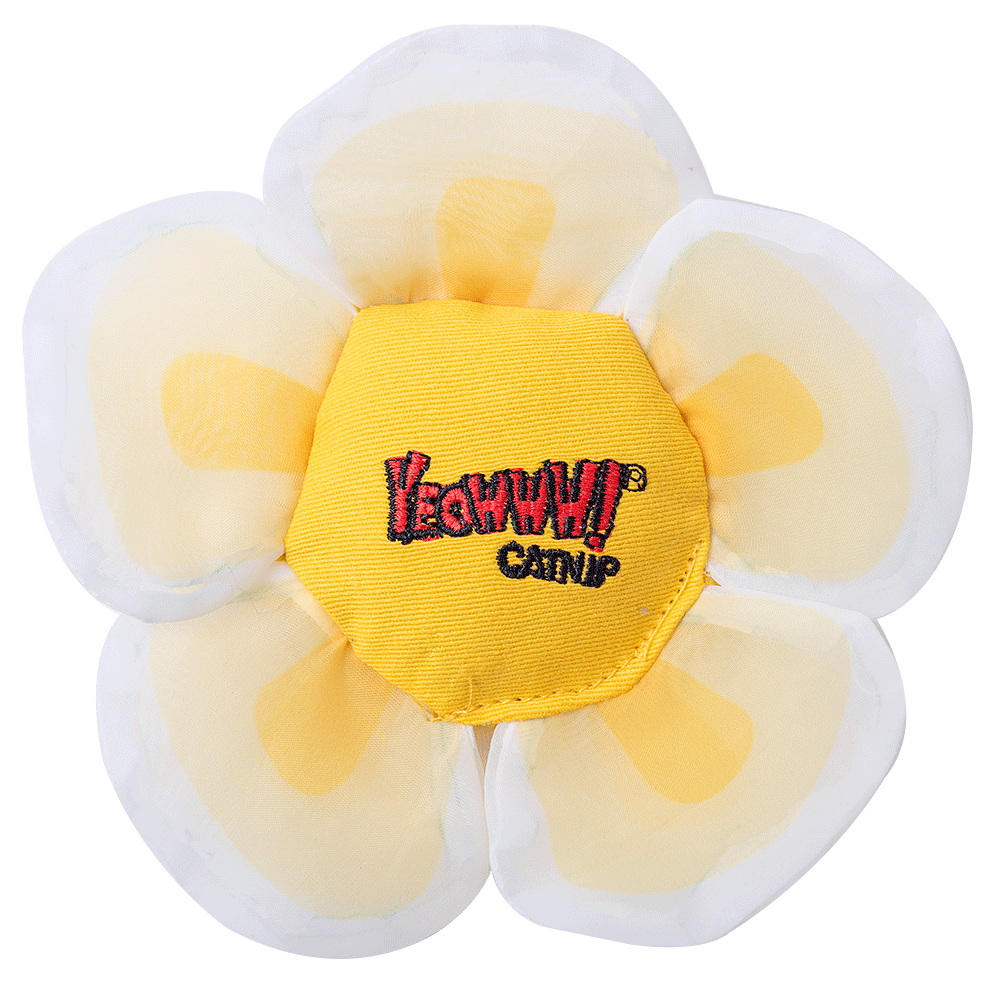 Petsexclusive Yeowww Daisey's Flower Top White