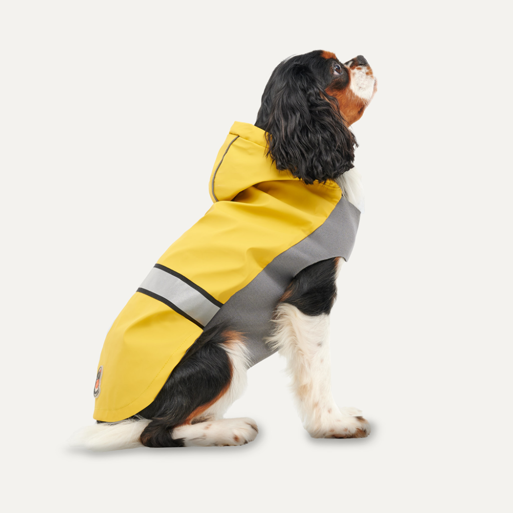 Gooeez Reflective Hooded Raincoat XS Yellow/Grey