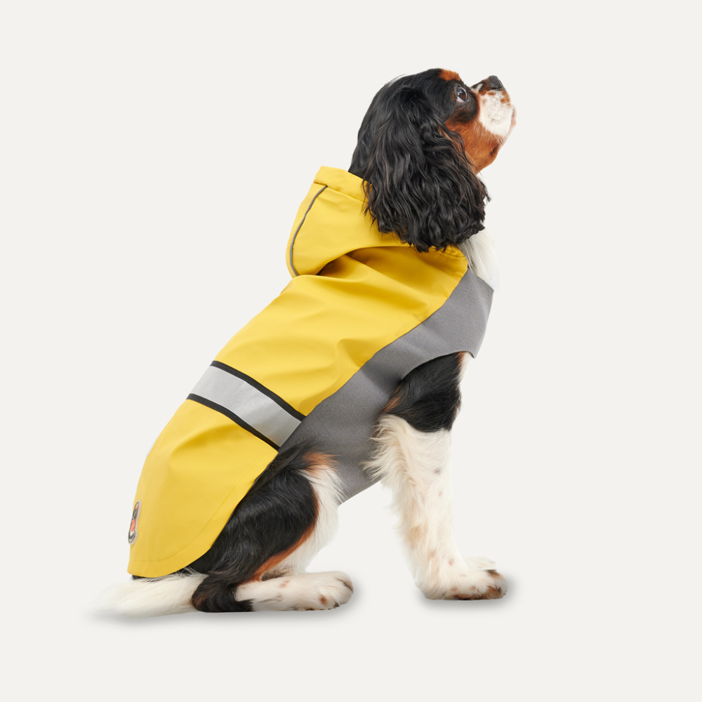 Gooeez Reflective Hooded Raincoat S Yellow/Grey