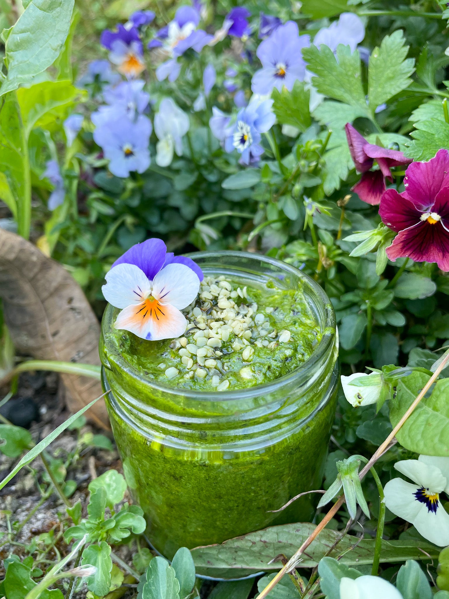 wild-greens-spring-pesto-santos-organics