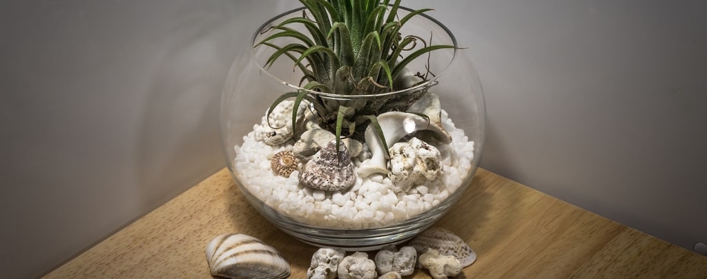 Déco de table coquillage et sable