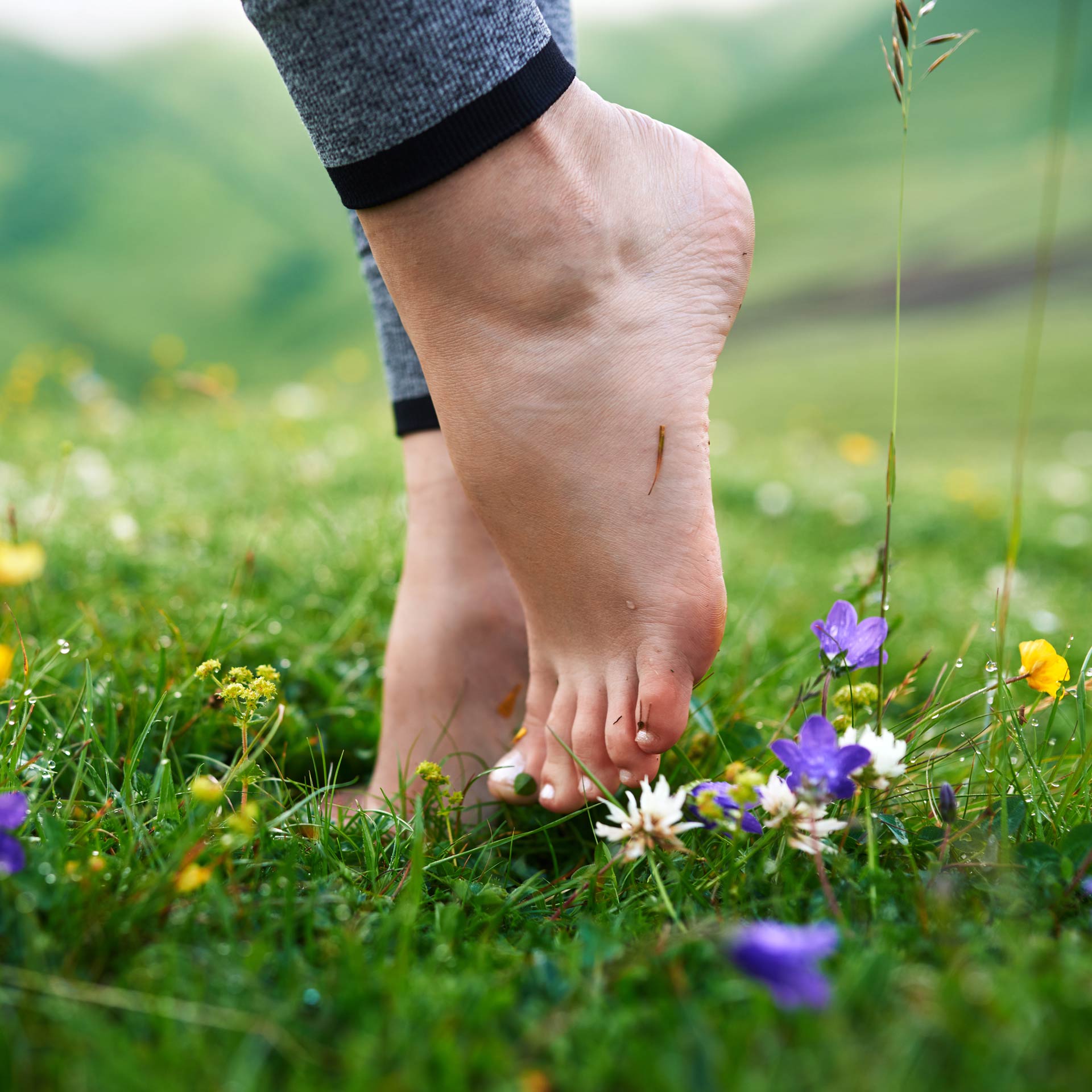 Knitido - Rainbows, short socks with colourful toes - The Barefoot