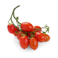 Tomatoes Piccadilly from Italy