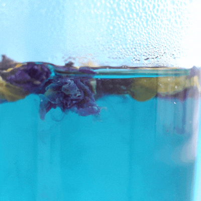 L'eau à utiliser pour les infusions de fleurs de Pois Papillon bio
