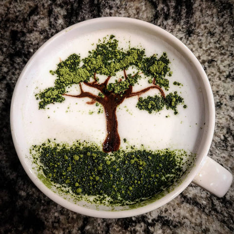 matcha-cafe-arbre-latte-art