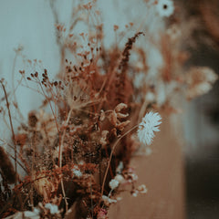 vagabond Smuk manuskript Trendy tørrede blomster – gromedro