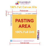 Load image into Gallery viewer, Non Violence DIY Diamond Painting Kit
