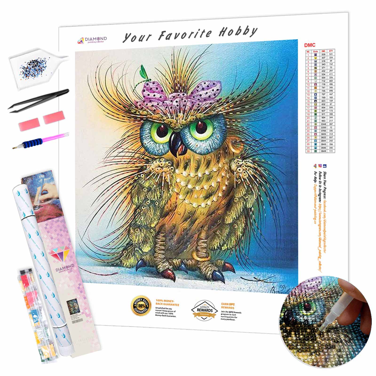 Smart Owl DIY Diamond Painting Kit