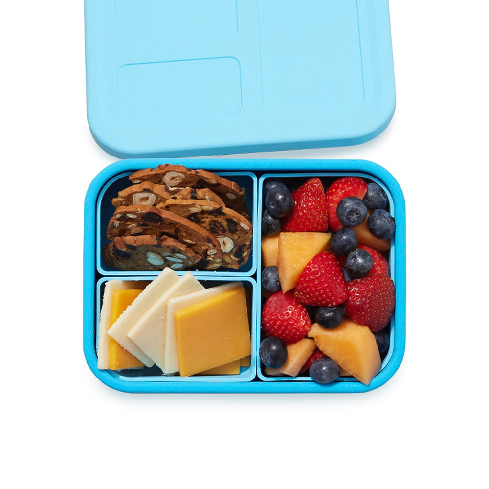 PlanetBox – Tagged PlanetBox Explorer Stainless Steel Leakproof Lunchbox  – The Good Planet Company