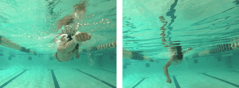 First swimming tecniche