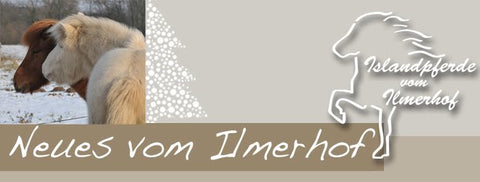 Banner Irmlerhof Blog