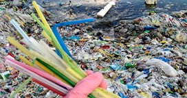 Plastic straws alternative landfill waste pollution reusable 