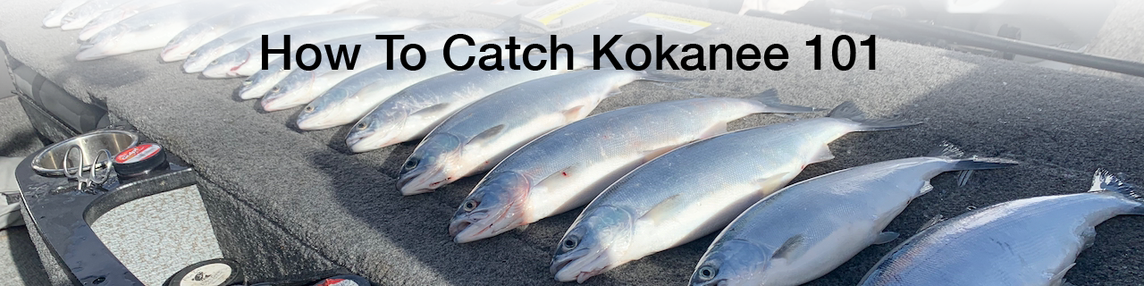 How to Catch Kokanee 101 – Kokanee Addict Fishing