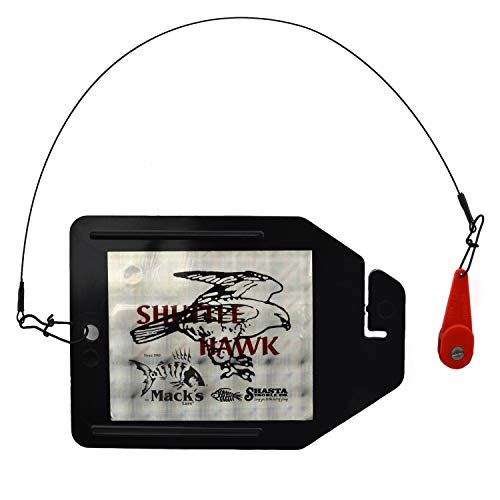 Lindy Rigger for Walleye Fishing - Keeps Snells and Rigs Organized and  Tangle-Free, Lindy Rigger Lindy
