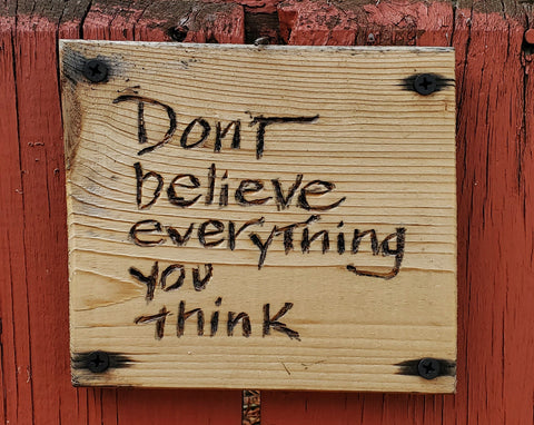 Don’t believe everything you think sign