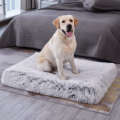 Cama para Cachorro Grande Nuvem Plus Size