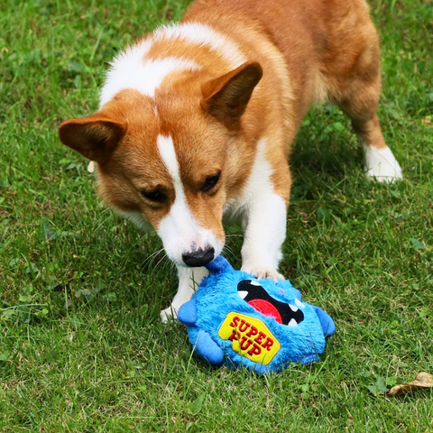 cachorro brincando com monstrinho treme treme