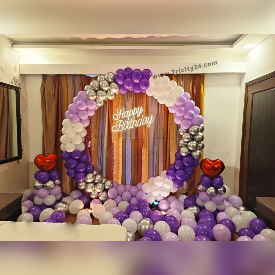 Happy Birthday Ring Arch Decoration (308 Pcs). – Tricity 24