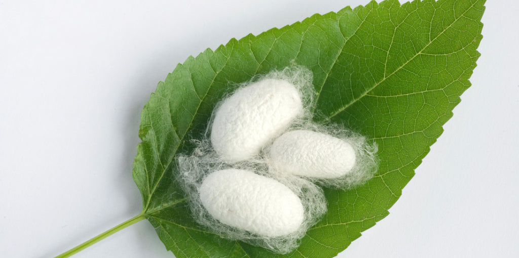 Découvrez la soie: un tissu durable inattendu