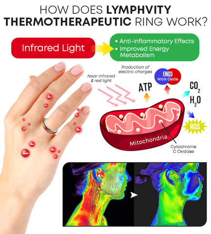 Anis'OMI Lymphvity Thermotherapeutic Ring