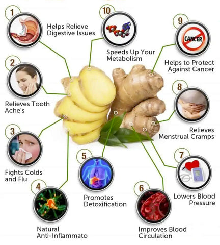 SLIMORY Lymphoid Gingerol Shawan Gel