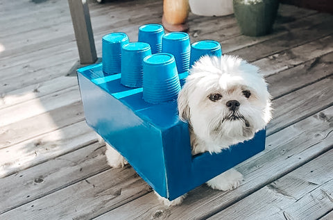 Lego costume on dog