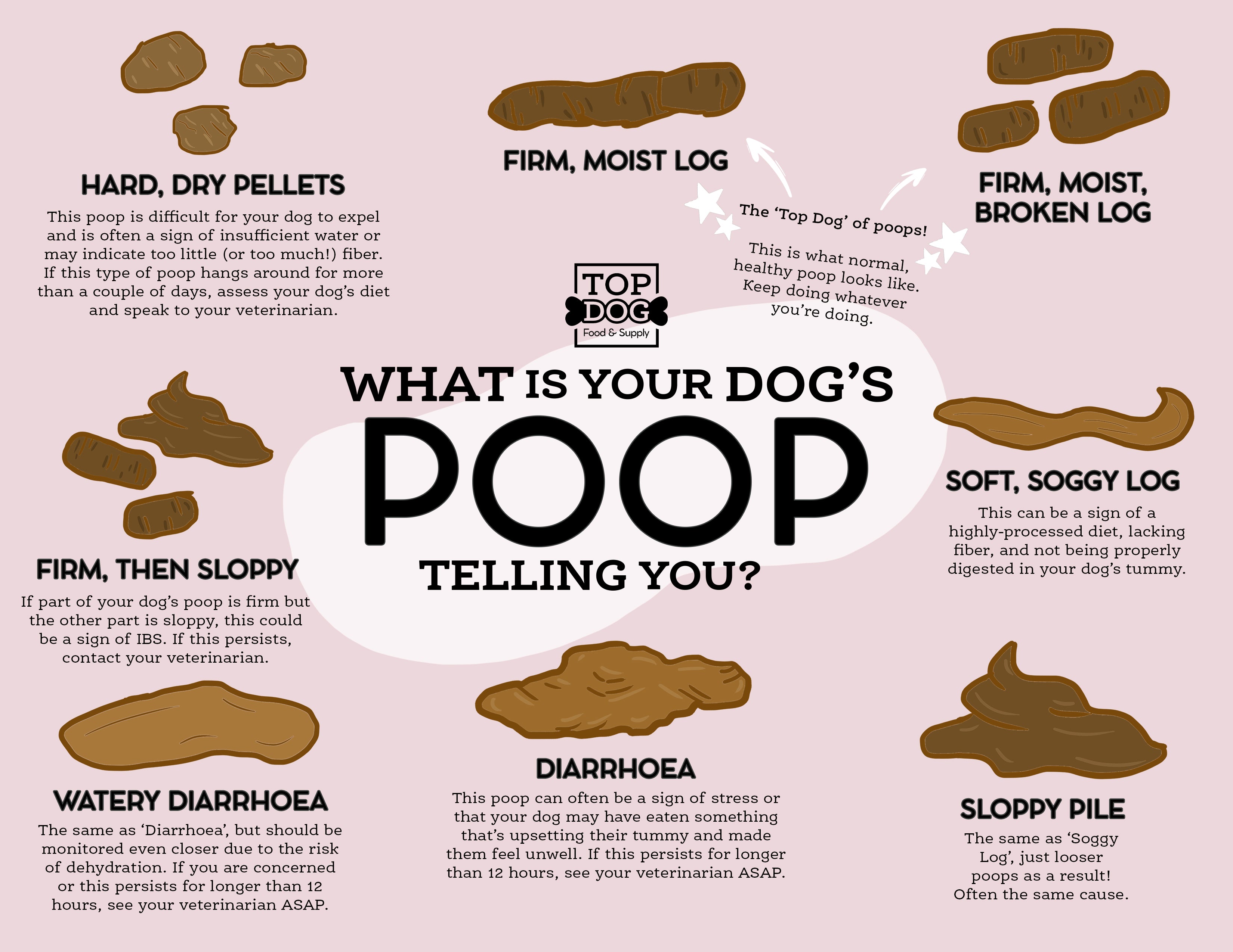 Use Our Healthy Dog Poop Chart to Discover If Your Dog's Poop is