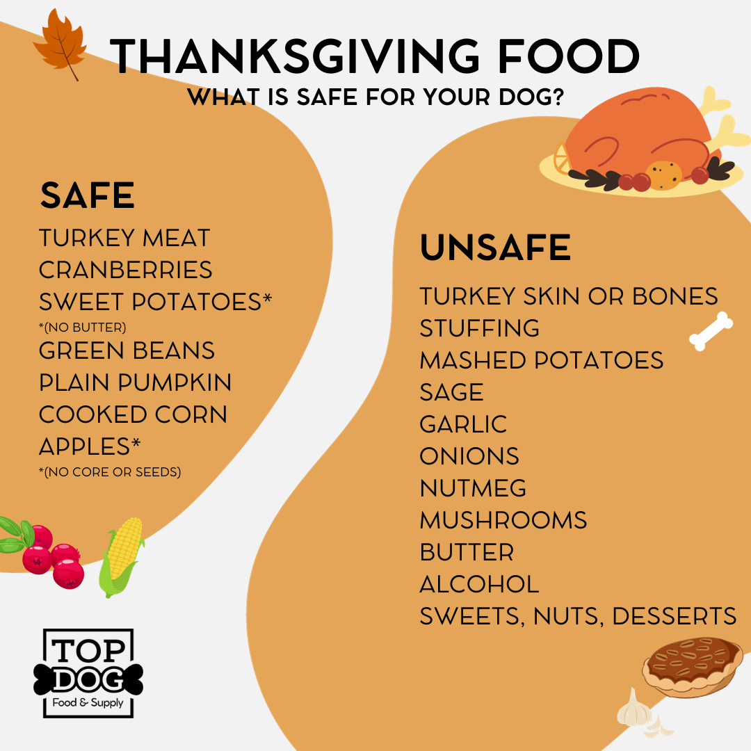 Thanksgiving Food: What Is Safe For Your Dog?