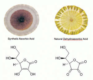 Image showing cell structure and how synthetic v natural ascorbic acid is used by the body