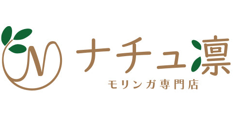 自社サイト