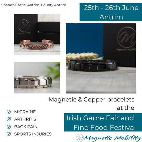 Irish Game Fair and Fine Food Festival in Antrim.