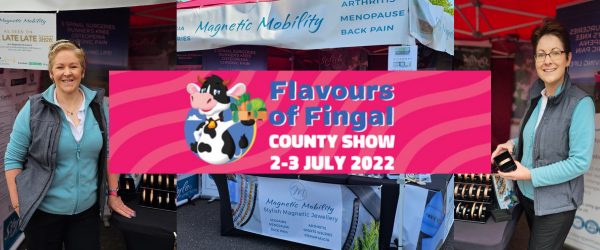 Join Magnetic Mobility at the Flavours of Fingal show this weekend