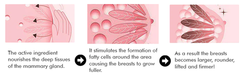 Breast Plumping & Lifting Essential Oil
